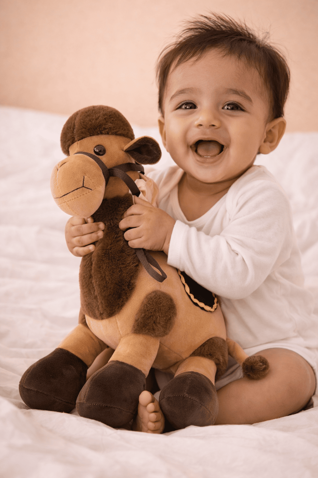 Cute Camel Plush Toy